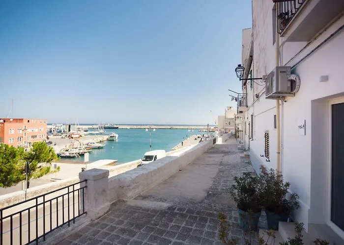 Yolk - Puglia Mia *